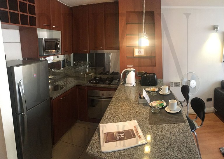 Brizen Apartments Pedro de Valdivia 7